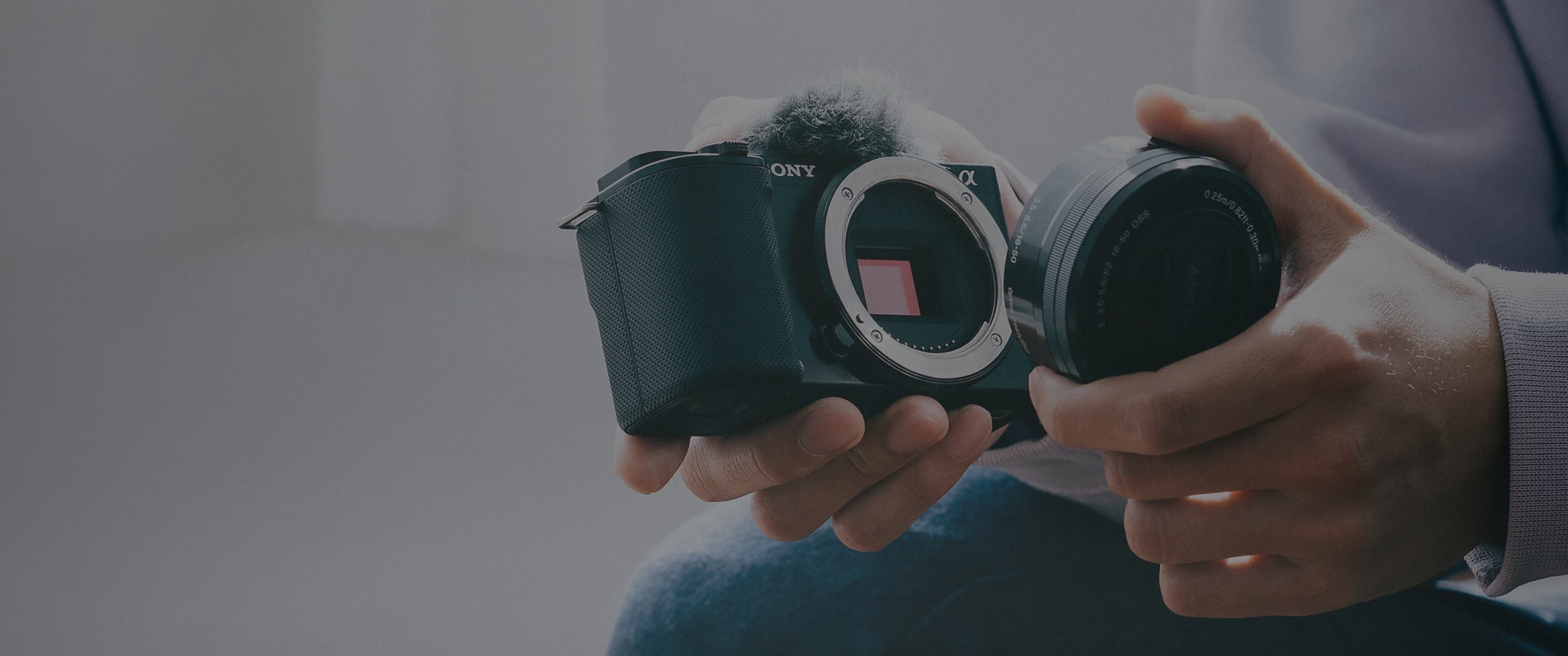 The 5 Best Mirrorless Cameras for beginners in 2026