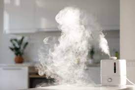 DEHUMIDIFIERS & PURIFIERS