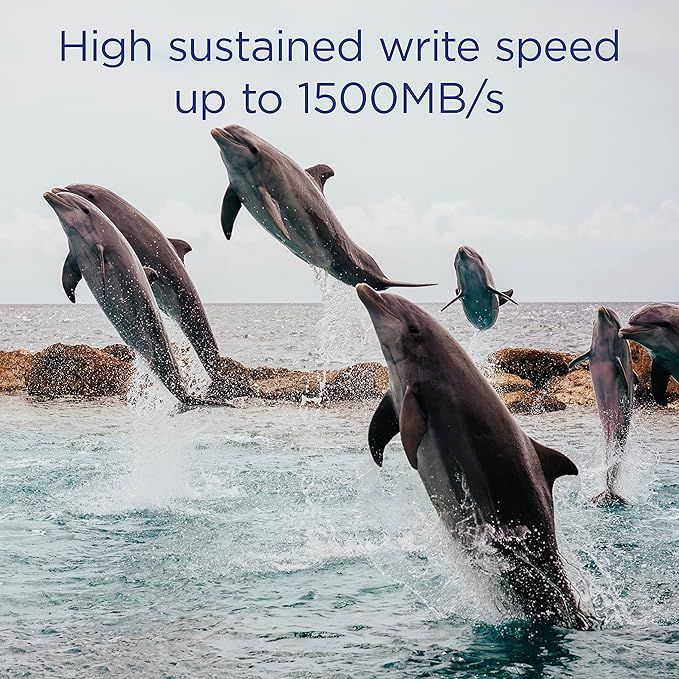 Integral 1300GB CFexpress Memory Card - INCFE1300G1800/1500/S1500