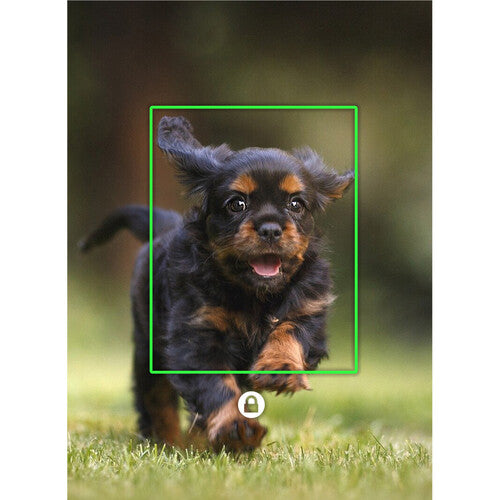 Estabilizador de mano Feiyu Vimble 3 de 3 ejes para smartphones | VIMBLE3 