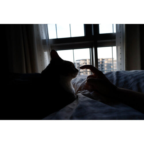 Objetivo contemporáneo Sigma 10-18 mm f/2,8 DC DN para Canon-RF