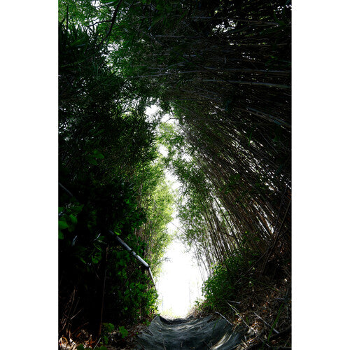 Objetivo contemporáneo Sigma 10-18 mm f/2,8 DC DN para Canon-RF