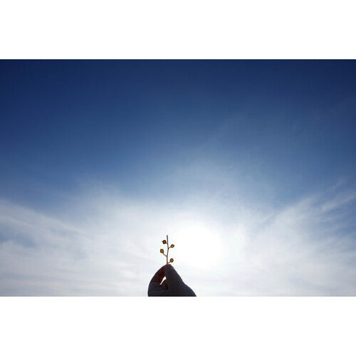 Objetivo contemporáneo Sigma 10-18 mm f/2,8 DC DN para Canon-RF