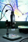 Celestron MicroDirect 1080P HDMI Handheld Digital Microscope | 44316