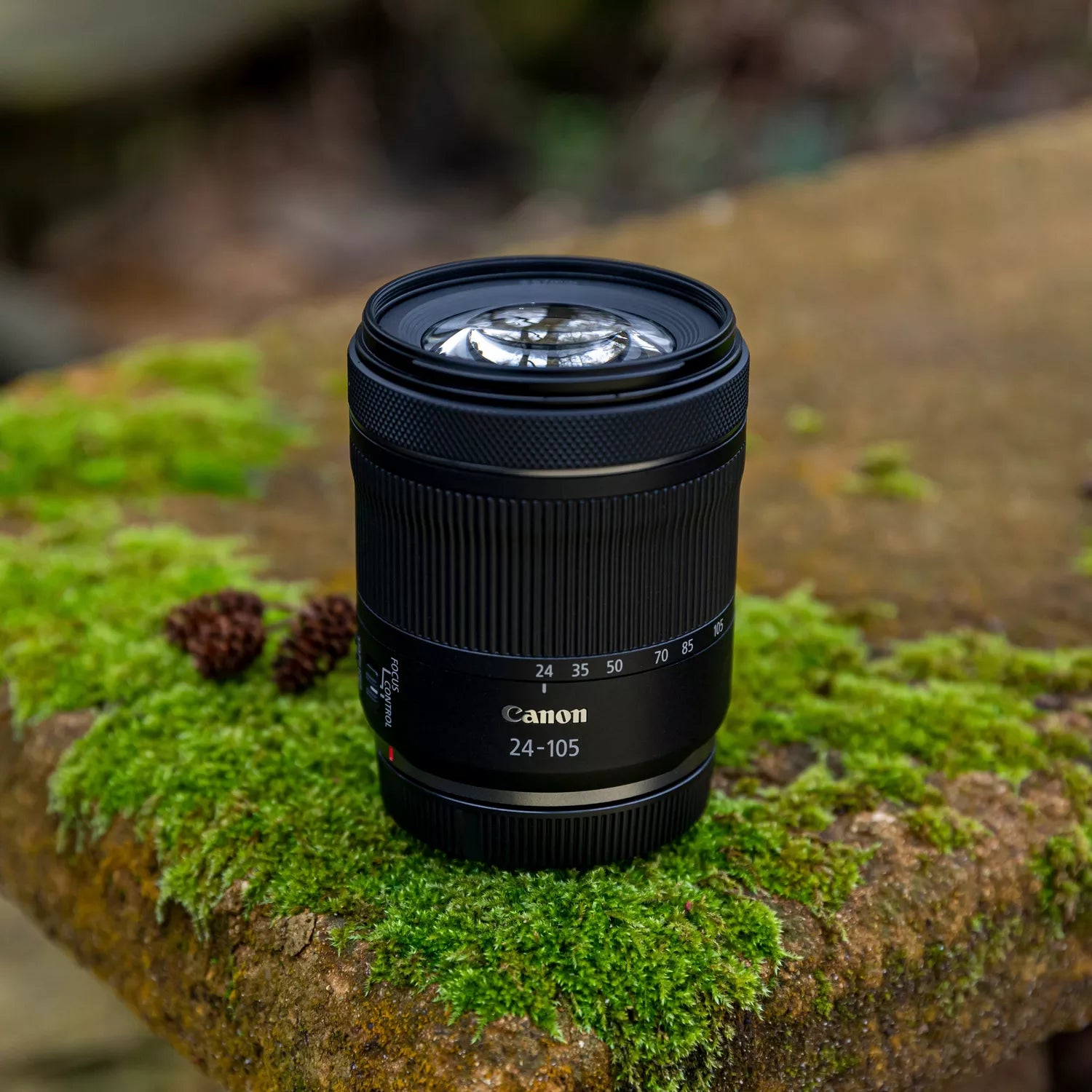 Canon EOS R8 Camera Body + RF 24-105mm F4-7.1 IS STM lens Kit