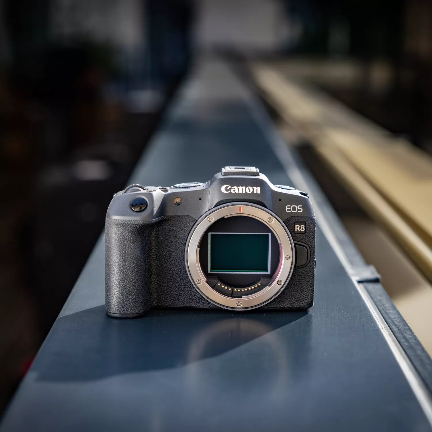 Canon EOS R8 Camera Body + RF 24-105mm F4-7.1 IS STM lens Kit