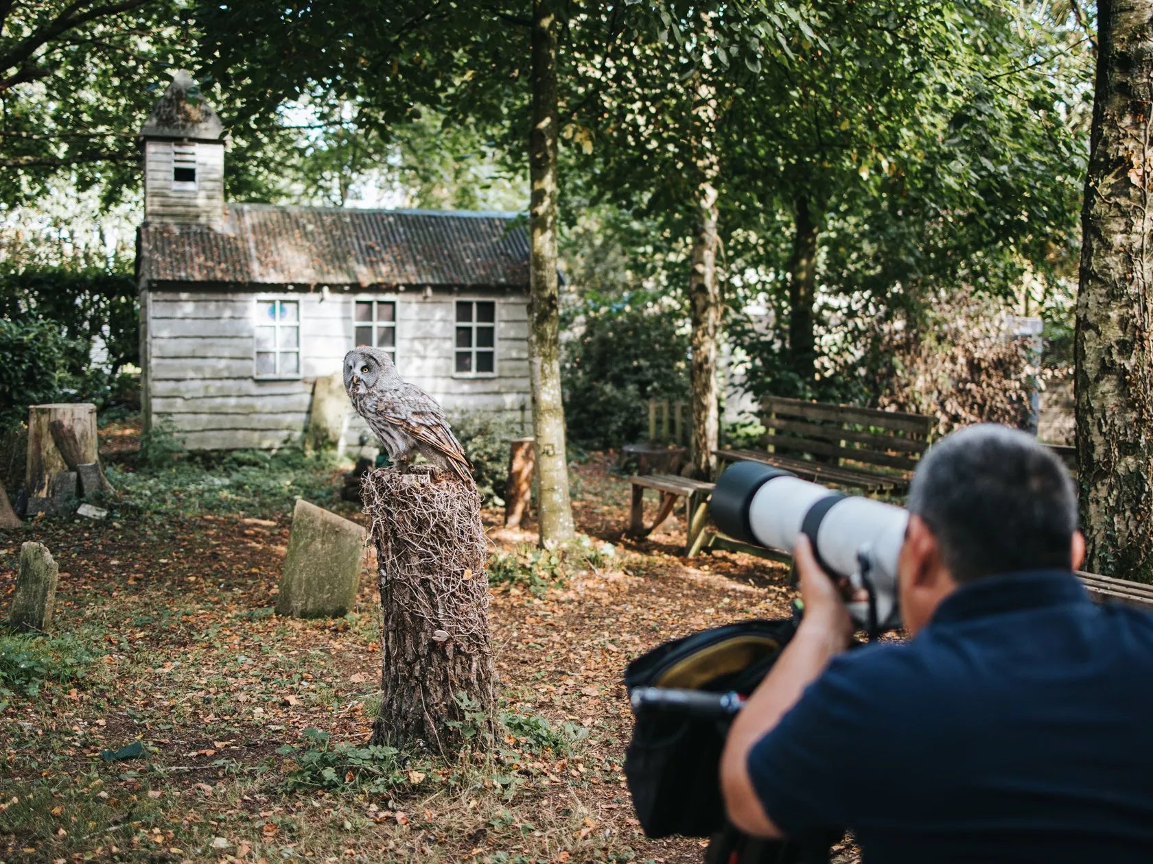 Objetivo Canon RF 200-800 mm f/6,3-9 IS USM 