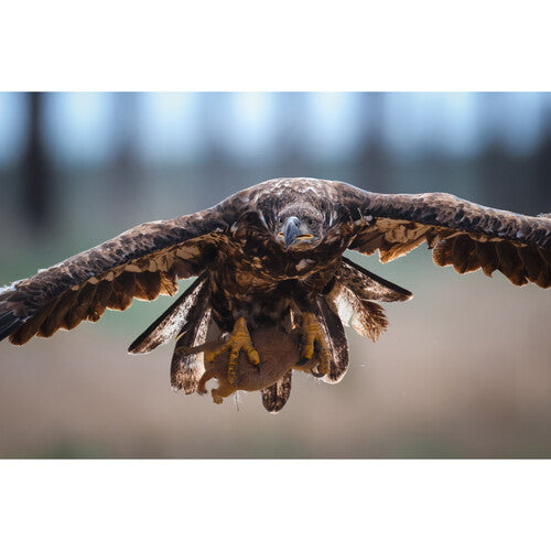 Canon EOS R1 Mirrorless Camera Body