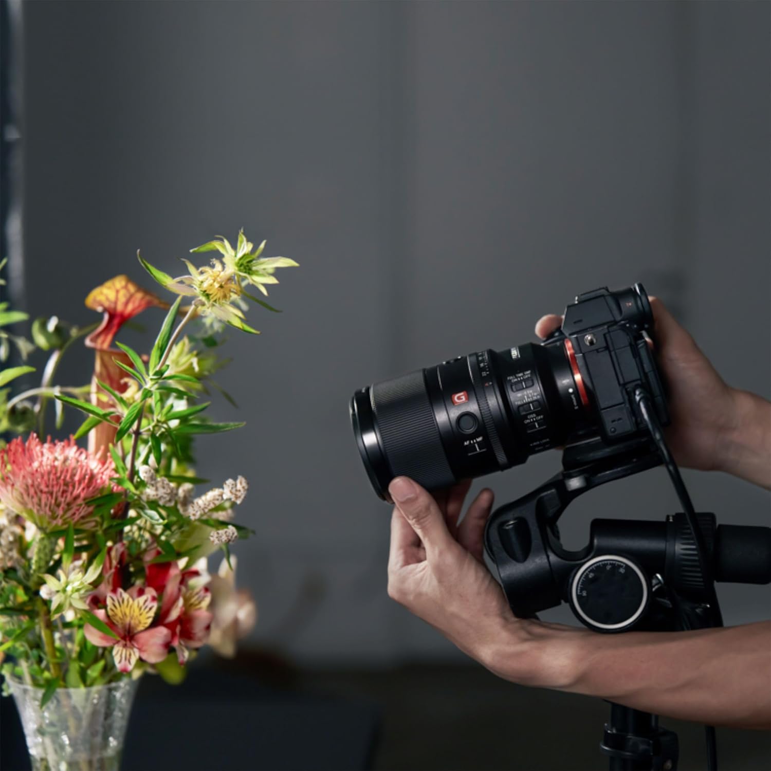 Sony FE 100mm F2.8 Macro GM OSS