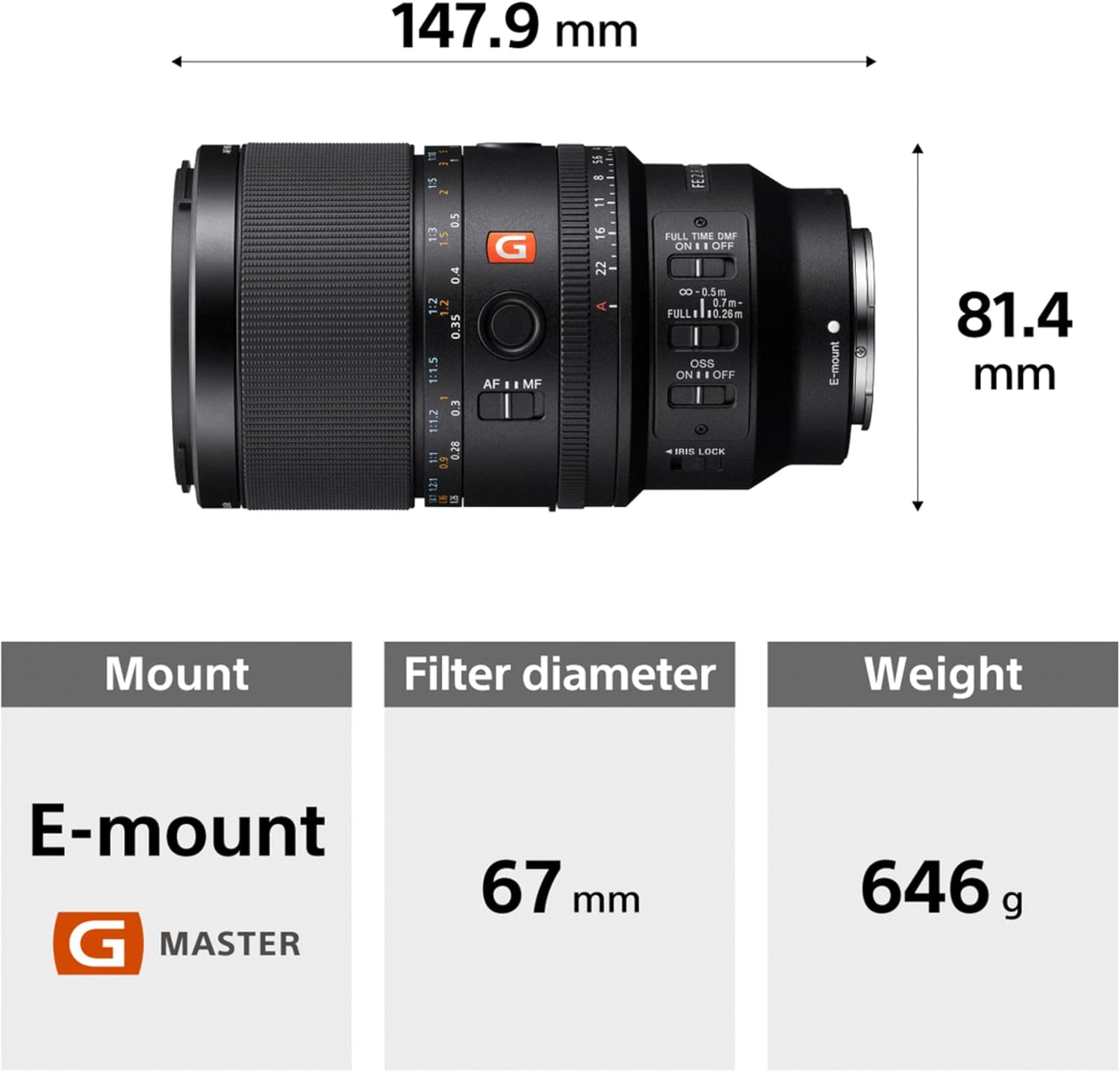Sony FE 100mm F2.8 Macro GM OSS