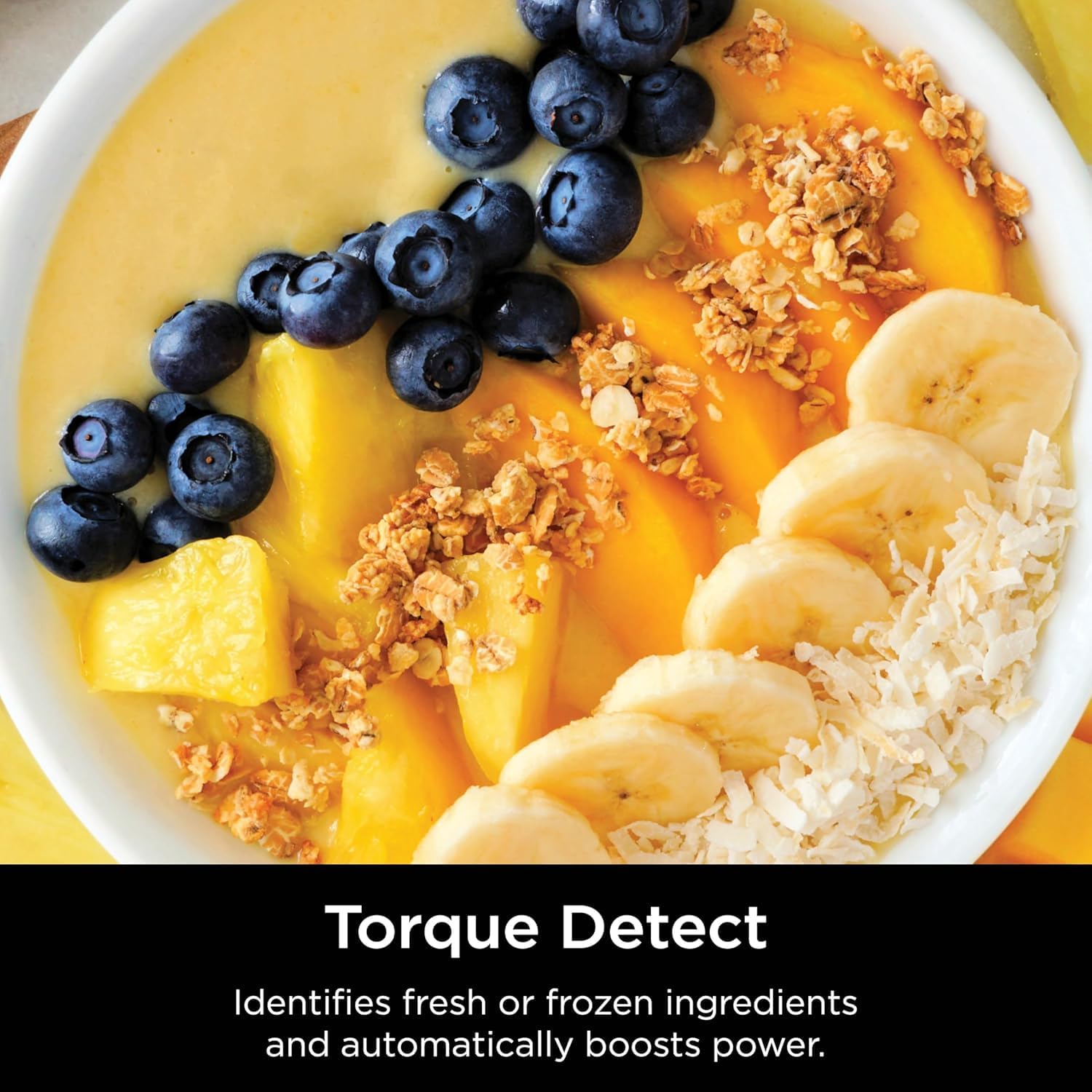 Ninja Detect Blender Pro - TB201