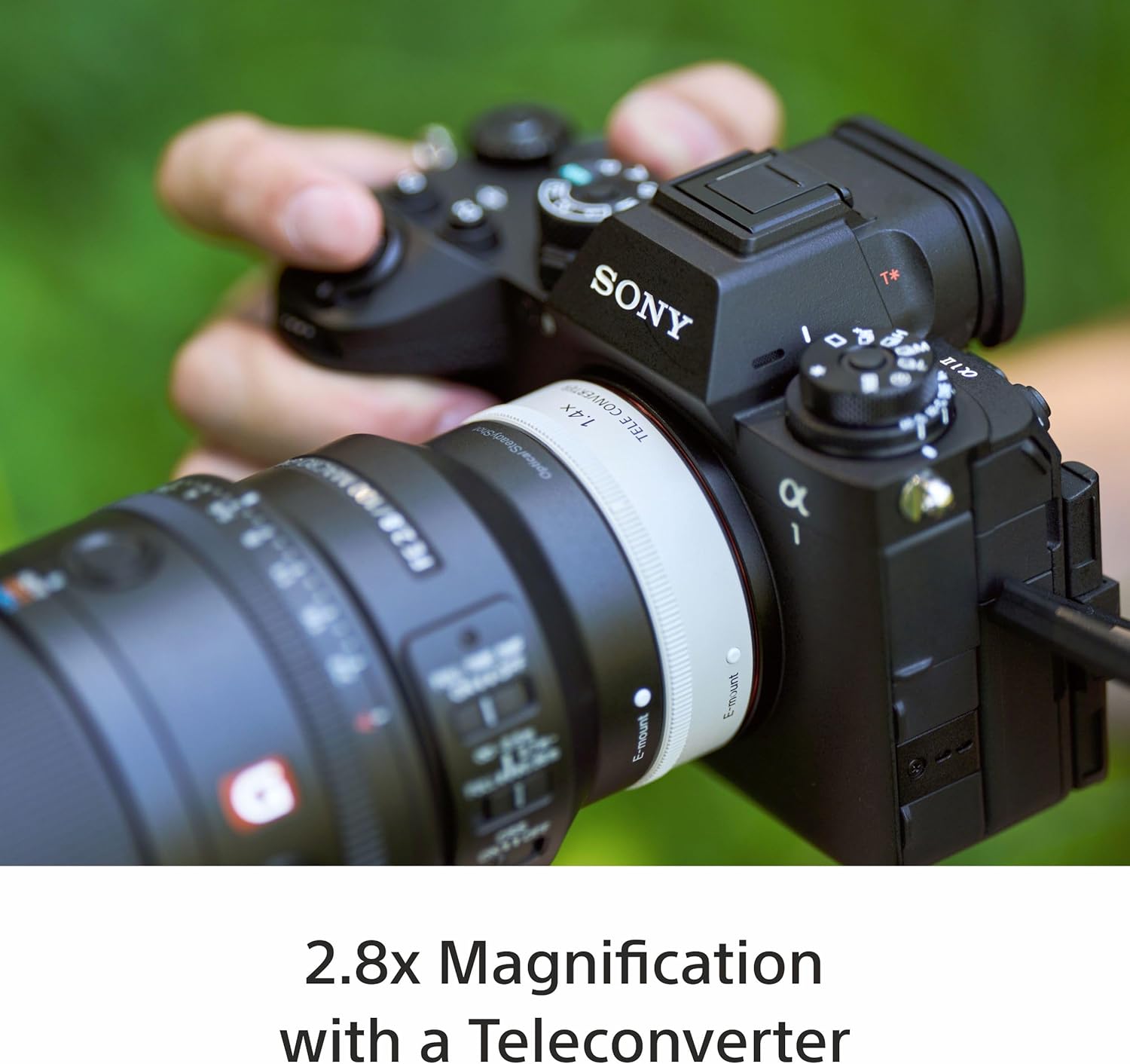 Sony FE 100mm F2.8 Macro GM OSS