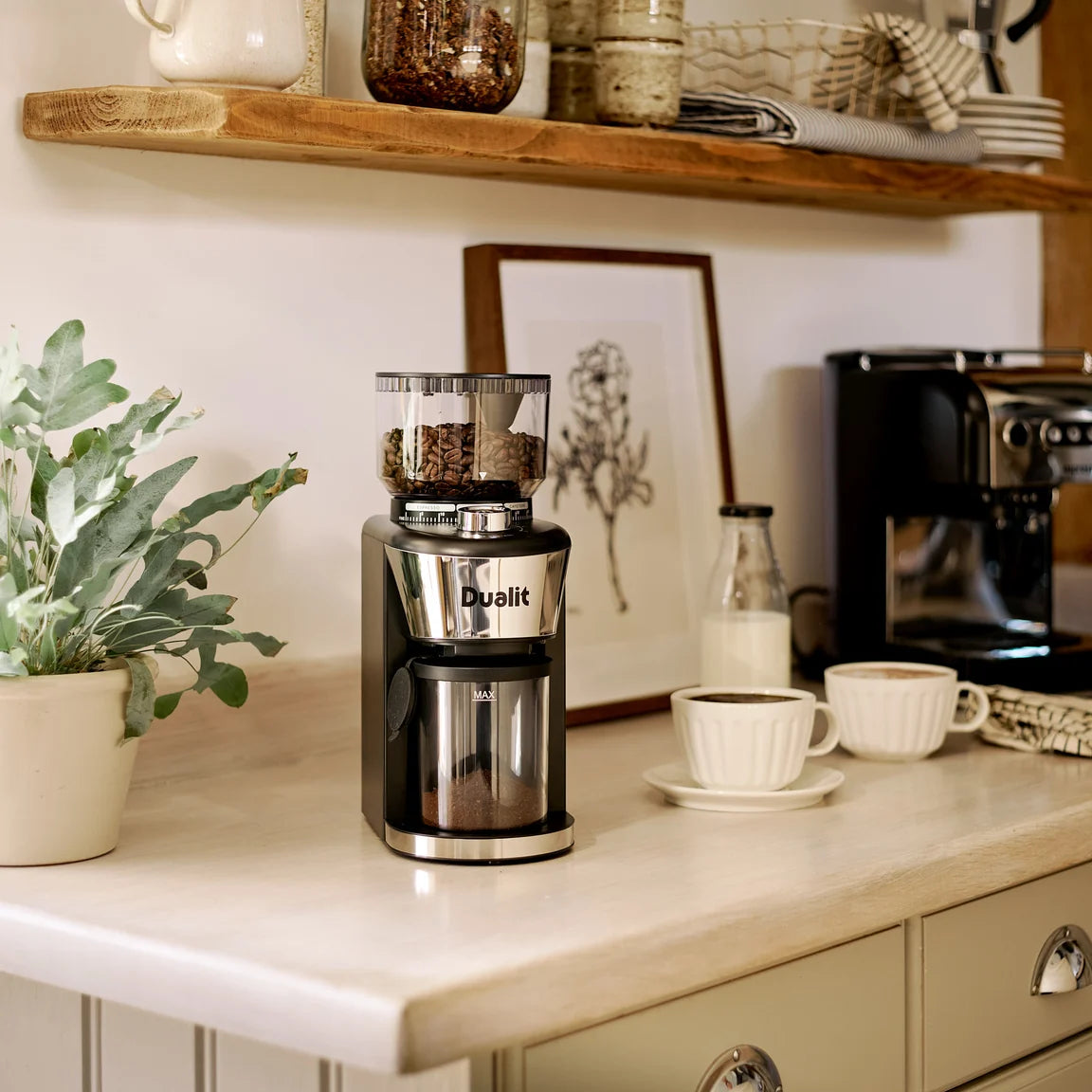 Dualit Burr Coffee Grinder - Black