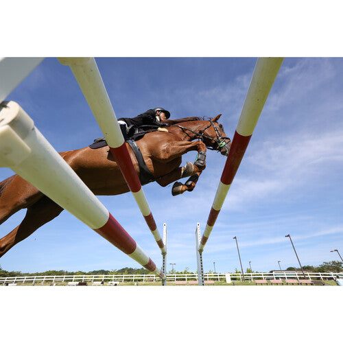 Canon EOS R6 Mark II Mirrorless Camera with 24-105mm f/4-7.1 Lens