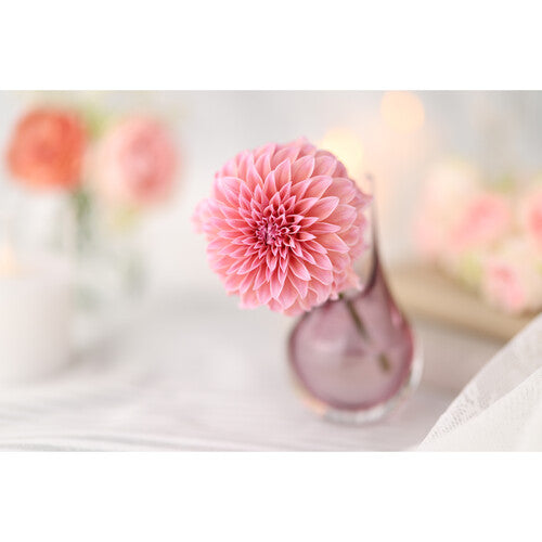 Canon RF 85mm f/1.4 L VCM Lens (Canon RF)