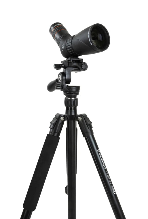 Trípode de acción rápida con cabezal panorámico e inclinable Hummingbird de Celestron 