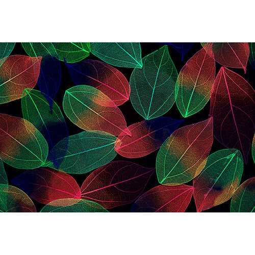 Fujifilm X-T5 Mirrorless Camera Body