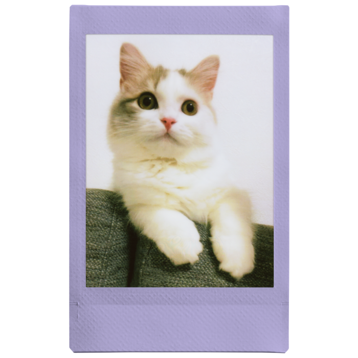 Fujifilm INSTAX MINI Soft Lavender Instant Film | 10 Exposures