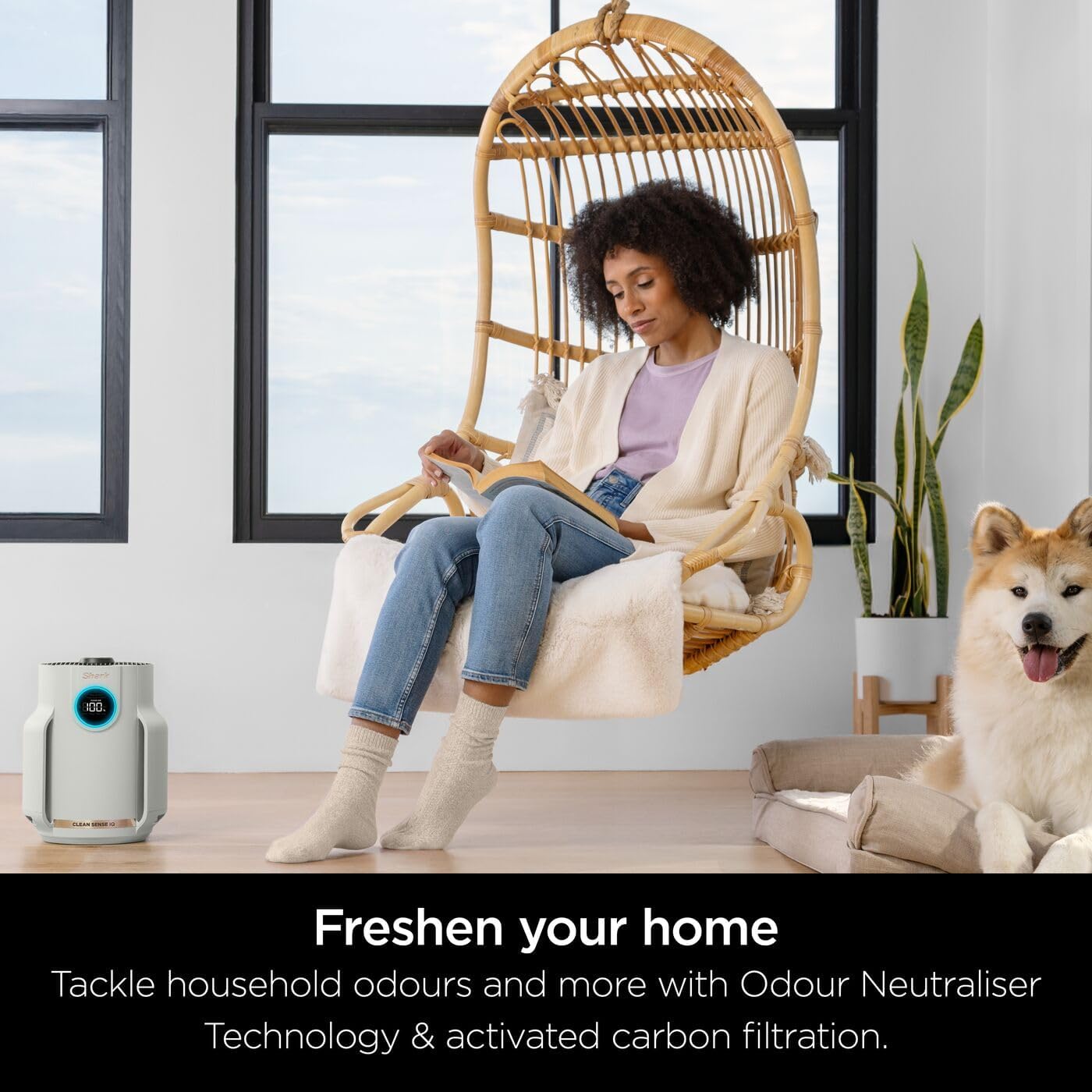 Shark NeverChange5 Air Purifier Compact Pro - HP072UK