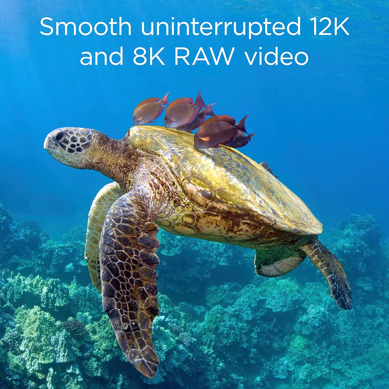 Tarjeta Integral ULTIMAPRO X2 CFEXPRESS Cinematic GOLD Tipo B 2.0 de 650 GB