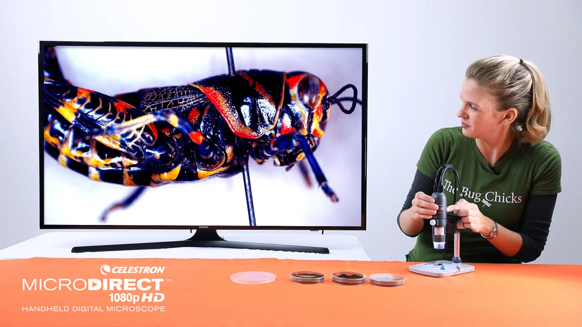 Microscopio digital portátil Celestron MicroDirect 1080P HDMI | 44316