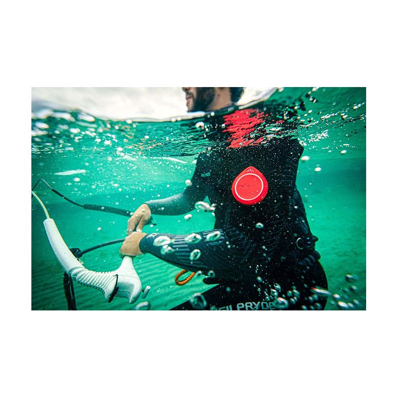 Comunicador de acción Milo 1