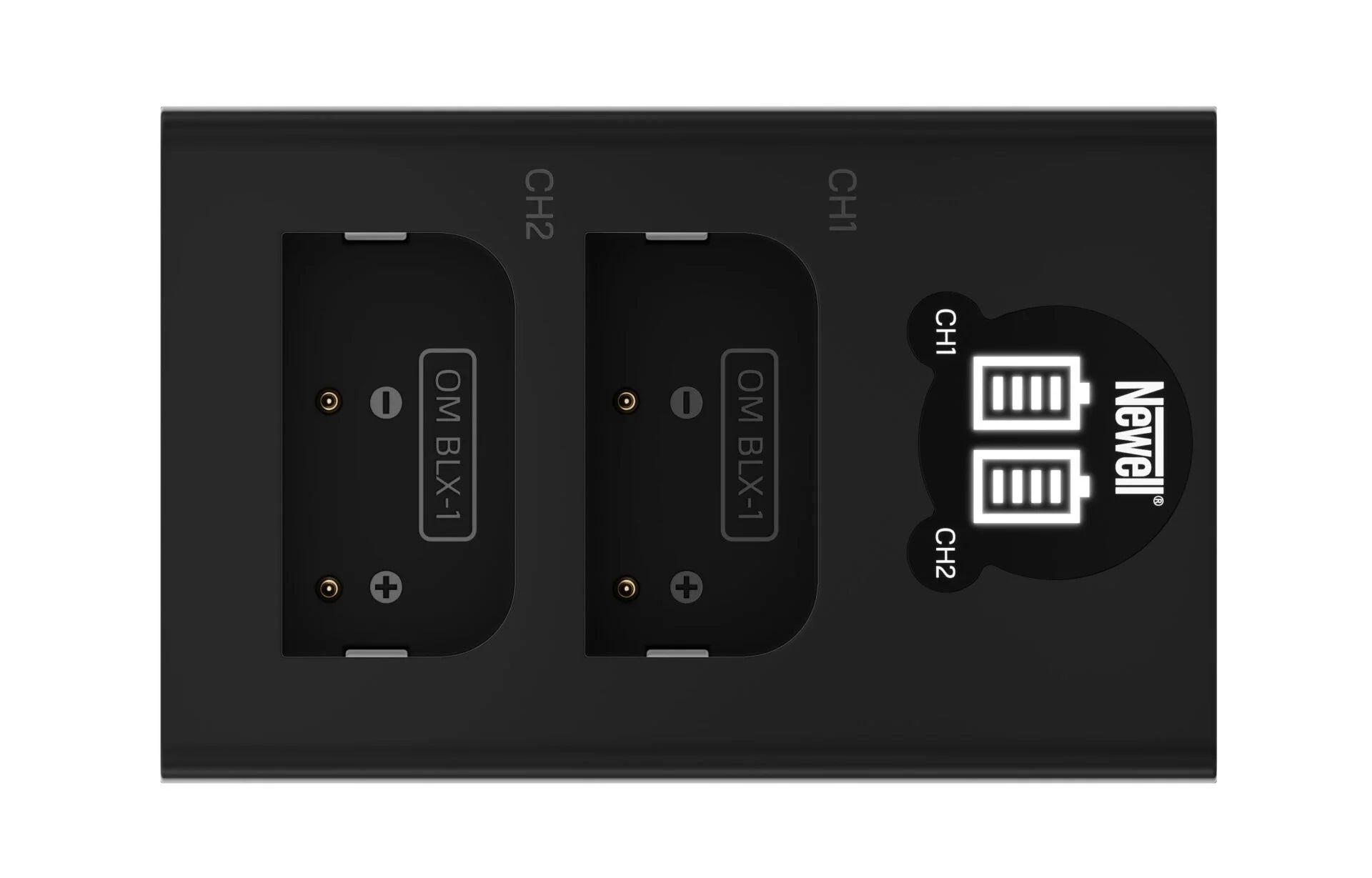 Newell Pack DC-USB-C Battery Charger +2 DMW-BLG10 Batteries for Panasonic Cameras - NW0234