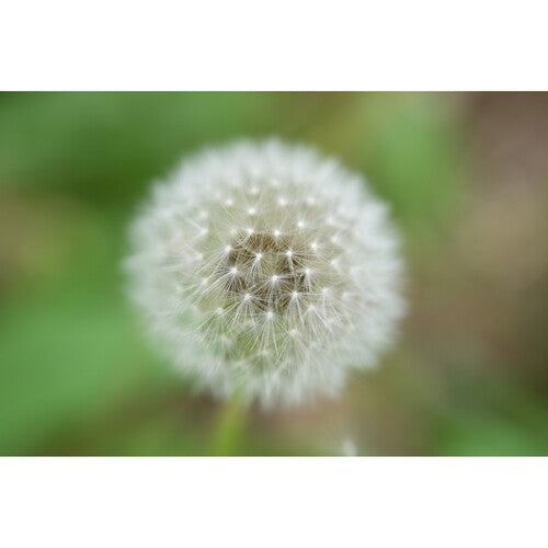 Objetivo Nikon NIKKOR Z 70-180 mm f/2,8 para montura Nikon Z 