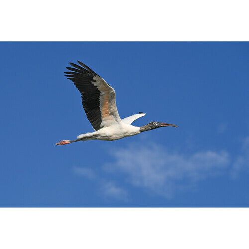 Cámara sin espejo Nikon Z6 III 