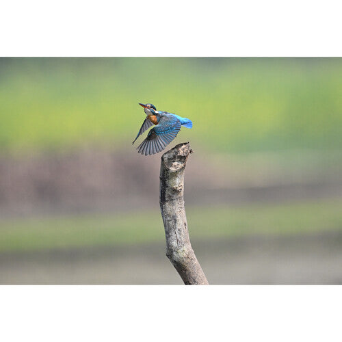 Cámara sin espejo Nikon Z6 III 