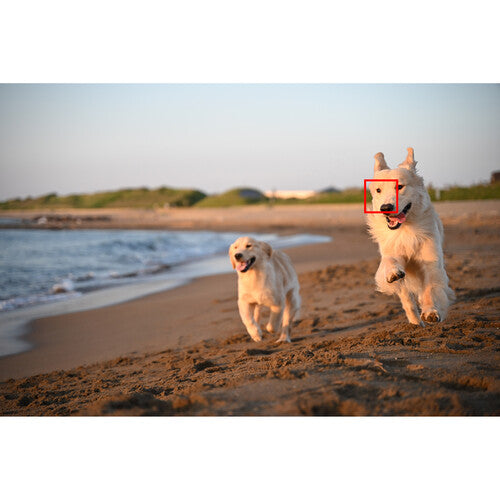 Nikon Zf Mirrorless Camera with 40mm SE Lense