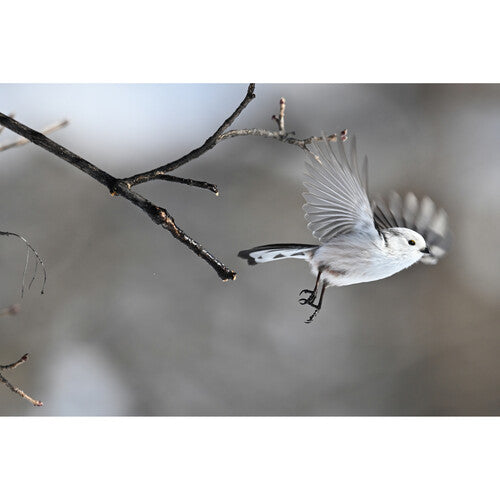 Cámara sin espejo Nikon Z6 III con lente 24-70 mm f/4 S 