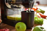 Philips Viva Collection Masticating Juicer - HR1889/71