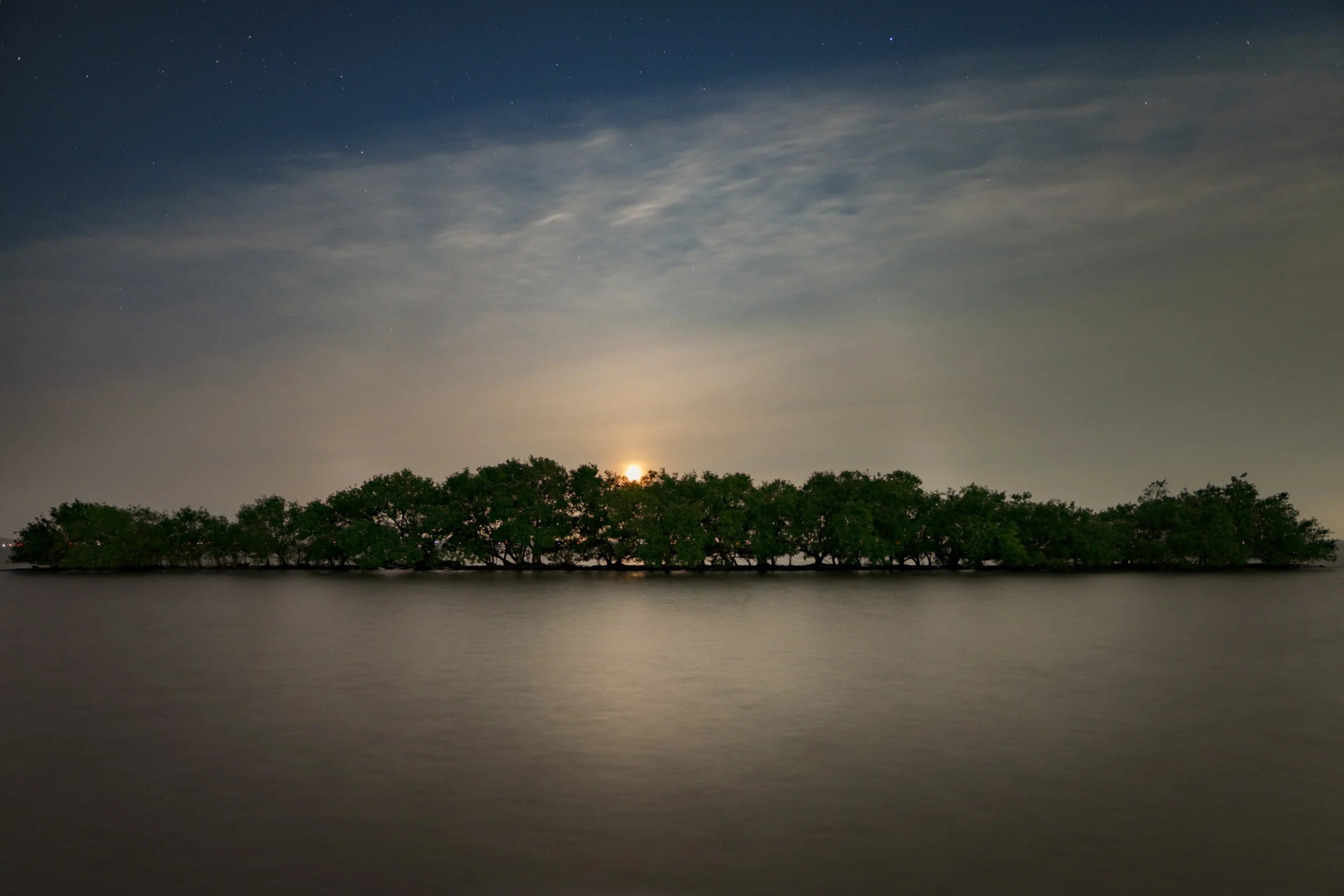 Sigma 12mm f/1.4 DC Contemporary Lens  - Fujifilm X MOUNT