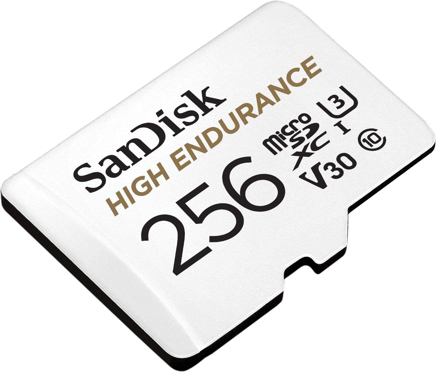 SanDisk High Endurance microSD Card with Adapter