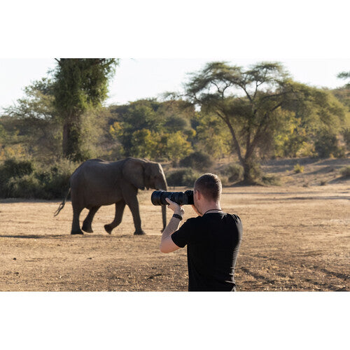 Objetivo contemporáneo Sigma 100-400 mm f/5-6,3 DG DN OS para FUJIFILM X 