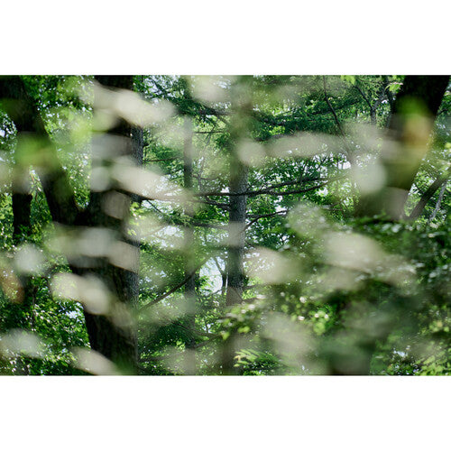 Sigma 20-200mm f/3.5-6.3 DG Contemporary Lens For Sony E