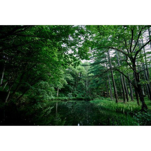 Sigma 20-200mm f/3.5-6.3 DG Contemporary Lens For Sony E