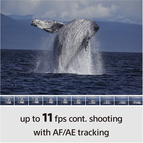 Sony a6100 Mirrorless Camera Body