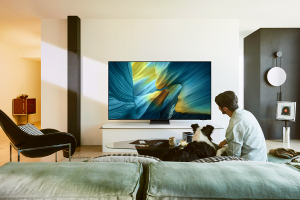 Samsung 83" OLED S95F 4K Samsung Vision AI Smart TV - TQ83S95FAEXXC