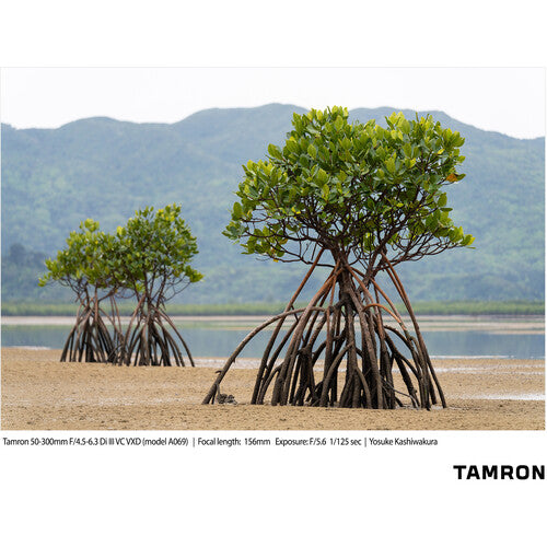 Objetivo Tamron 50-300 mm f/4,5-6,3 Di III VC VXD para Sony E