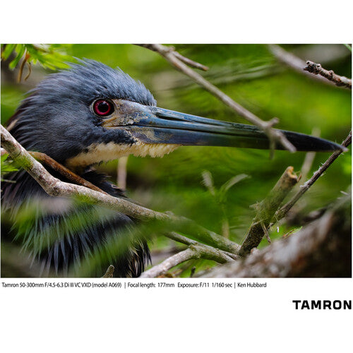 Objetivo Tamron 50-300 mm f/4,5-6,3 Di III VC VXD para Sony E