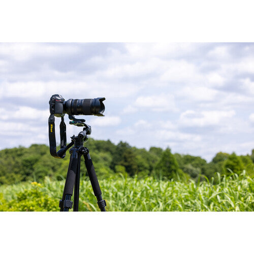 Objetivo Tamron 50-400 mm f/4,5-6,3 Di III VC VXD para Nikon Z