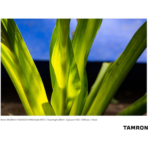 Tamron AF 28-200mm F/2.8-5.6 DI III RXD F/Sony E-Mount