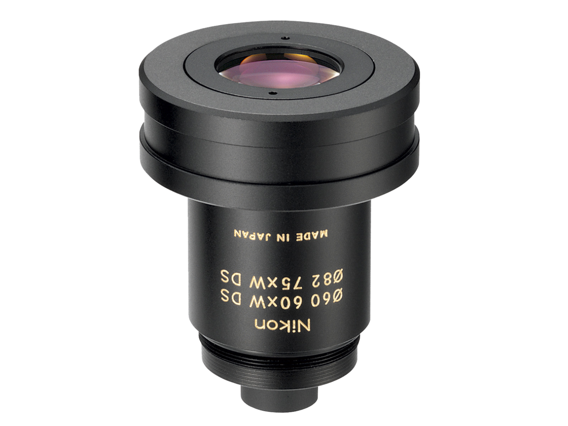 Nikon ED50 Angled Fieldscope | Pearlescent Green + Nikon 40x/60x/75x Wide DS Fieldscope Eyepiece