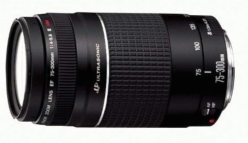 Canon 75-300mm f/4-5.6 - EF