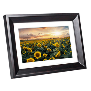 Kodak 10" Digital Photo Frame 8GB | RDPF-1020