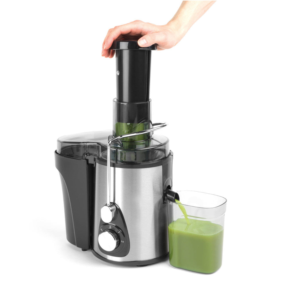 Salter Healthy Power Fruit Juicer