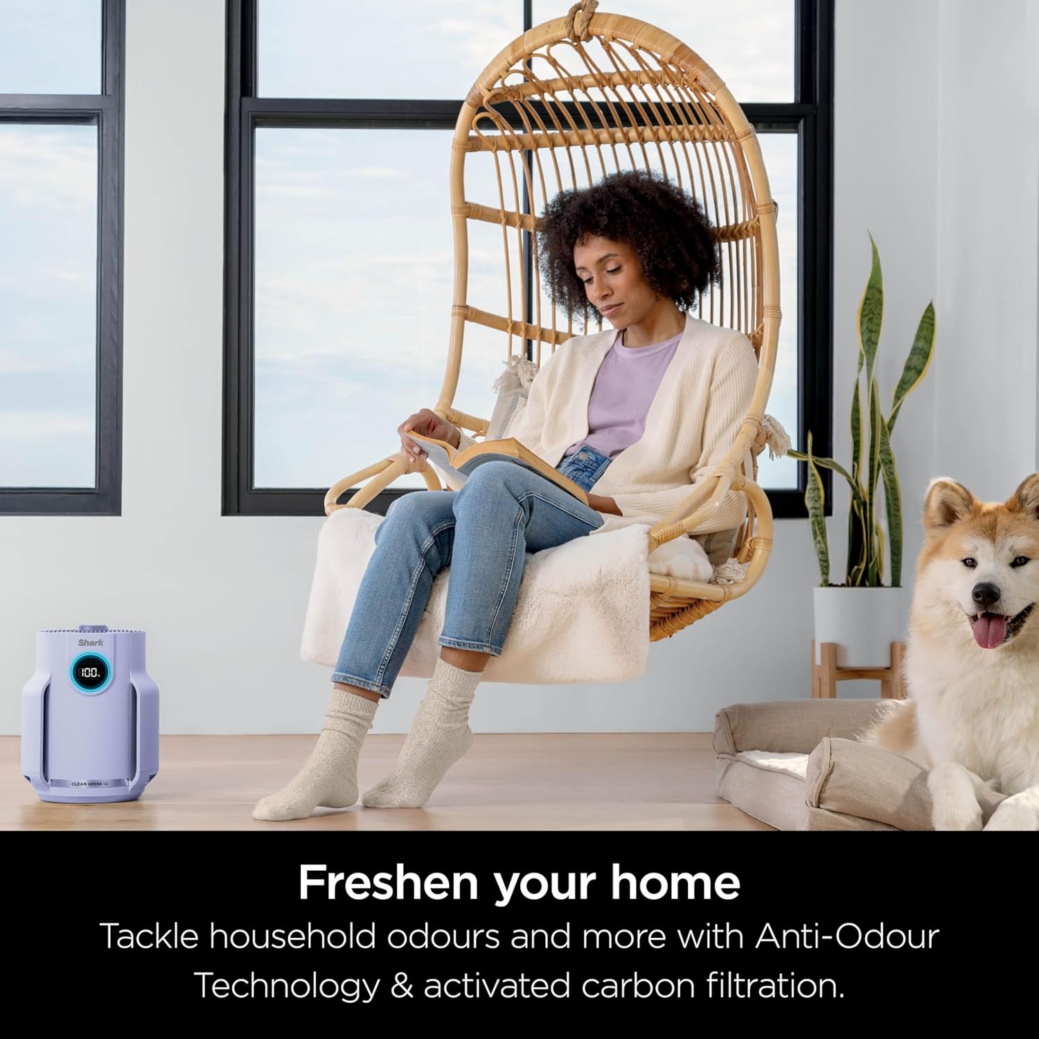 Purificateur d'air compact Shark NeverChange5 Pro - HP072UK