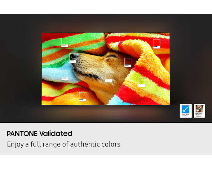 Samsung OLED S85F 77